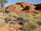 Kings canyon